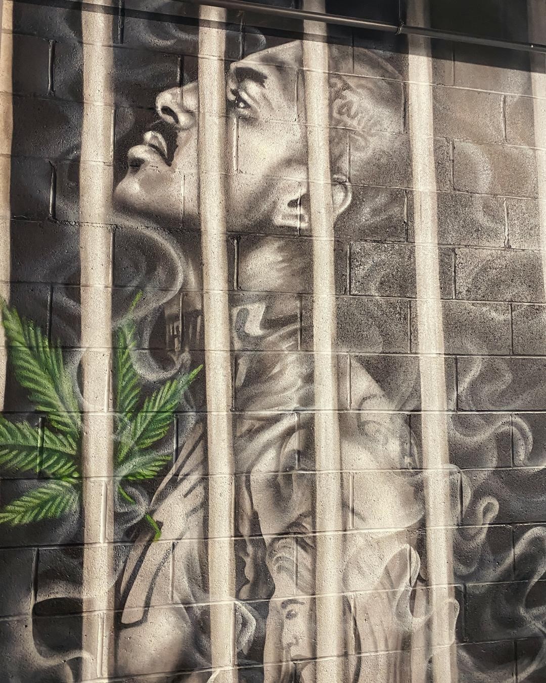 Experience the first exhibition at the co-located Social Justice Cannabis Museum.  @corecannabismuseumThe current collection urges guests to wholly consider the concept of incarceration, scrutinize society's relationship with illicit substances, and bring voice to those whose lives were impacted negatively by the current inequitable system.This image is a sneak peek of our first graffiti wall exhibit by @coreypaneart.Click the link in our bio to subscribe and stay up to date on current exhibits. @seedyourhead