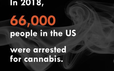 While many states have now legalized or decriminalized cannabis, the number of arrests for possession and distribution is still alarmingly high and thousands of humans are currently incarcerated for cannabis related offenses. These facts are juxtaposed against the multibillion-dollar cannabis industry that currently benefits industry giants as well as state and federal tax collectors. Visit the Social Justice Cannabis Museum @corecannabismuseum co-located with Seed to learn more about these hypocrisies. #seedyourhead @seedyourhead