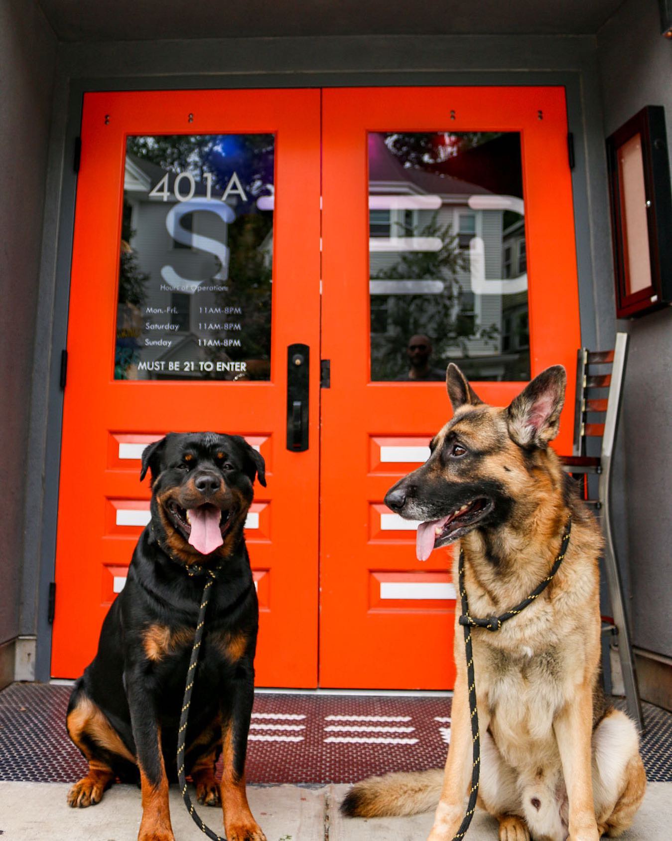 HappyOur furry friends, Benintendi & Pedroia, are regulars at Seed.