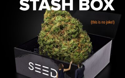 This is not a joke! Our Super Bud Stash boxes come with 8 Grams of Flower from @baileysbuds_ #NotForSale  #aprilsfoolsday #Seedyourhead  #bostonsbestdispensary  #seed  #boston  #jamaicaplain  #dispensary  #hightimes