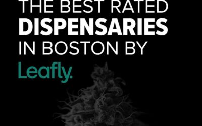 SEED is one of the best rated dispensaries in Boston by @leafly #bostonsbestdispensary #seed #leafly #seedyourhead #boston #jamaicaplain #dispensarylife #hightimes #cannabisindustry