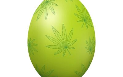 Happy Easter! #internationalpetertoshday #420 #notforsale #Seedyourhead #bostonsbestdispensary #seed #boston #jamaicaplain #dispensary #cannabis #cannabiscommunity #cannabisculture #weedstagram #edibles #dispensarylife #hightimes #cannabisindustry