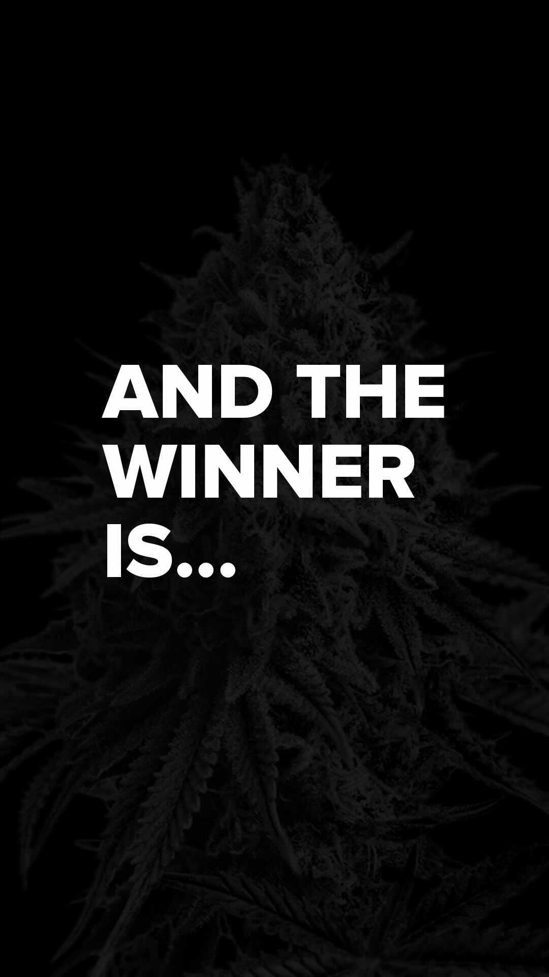 And the winner for the Coast & SEED merch pack is…