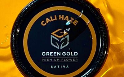 With citrusy, earthy, and fruity flavors this strain may benefit those with mood disorders such as anxiety, depression, & chronic stress as it clears away all negativity and worries. #notforsale #seedyourhead #sativa