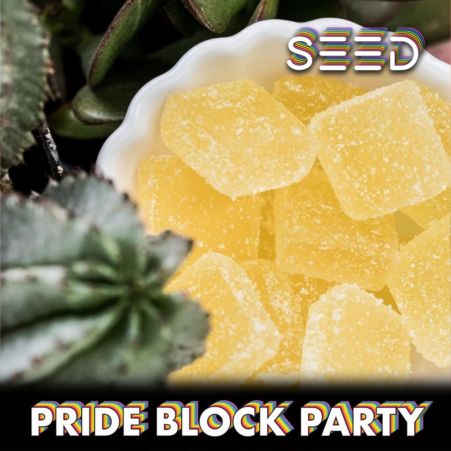 SEED Pride Block Party
June 12 at 12pm at SEED🦄Wana have fun? stop by and say hello to our friends from @wanabrands