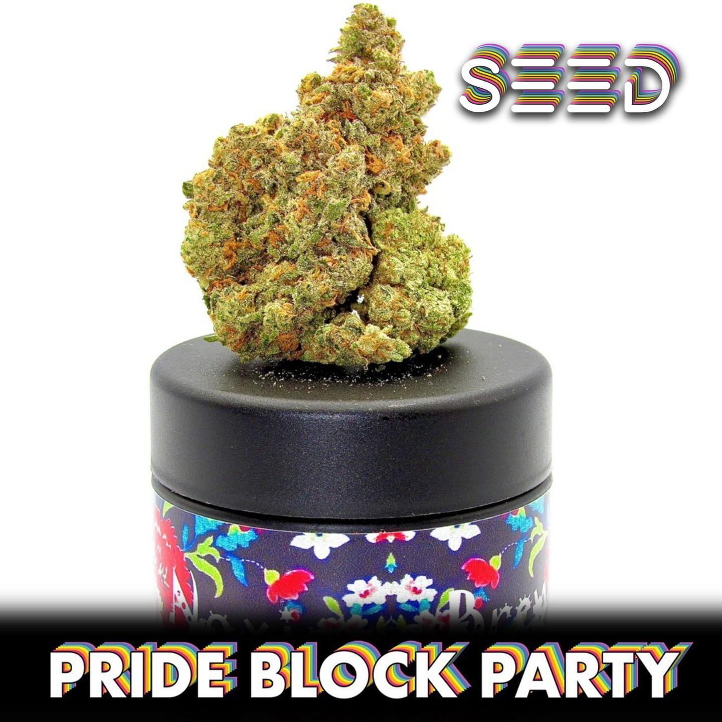 SEED Pride Block Party
June 12 at 12pm at SEED🦄
Hello Beautiful!
The Famous @baileysbuds_ is going to be at the stop by and say hi!