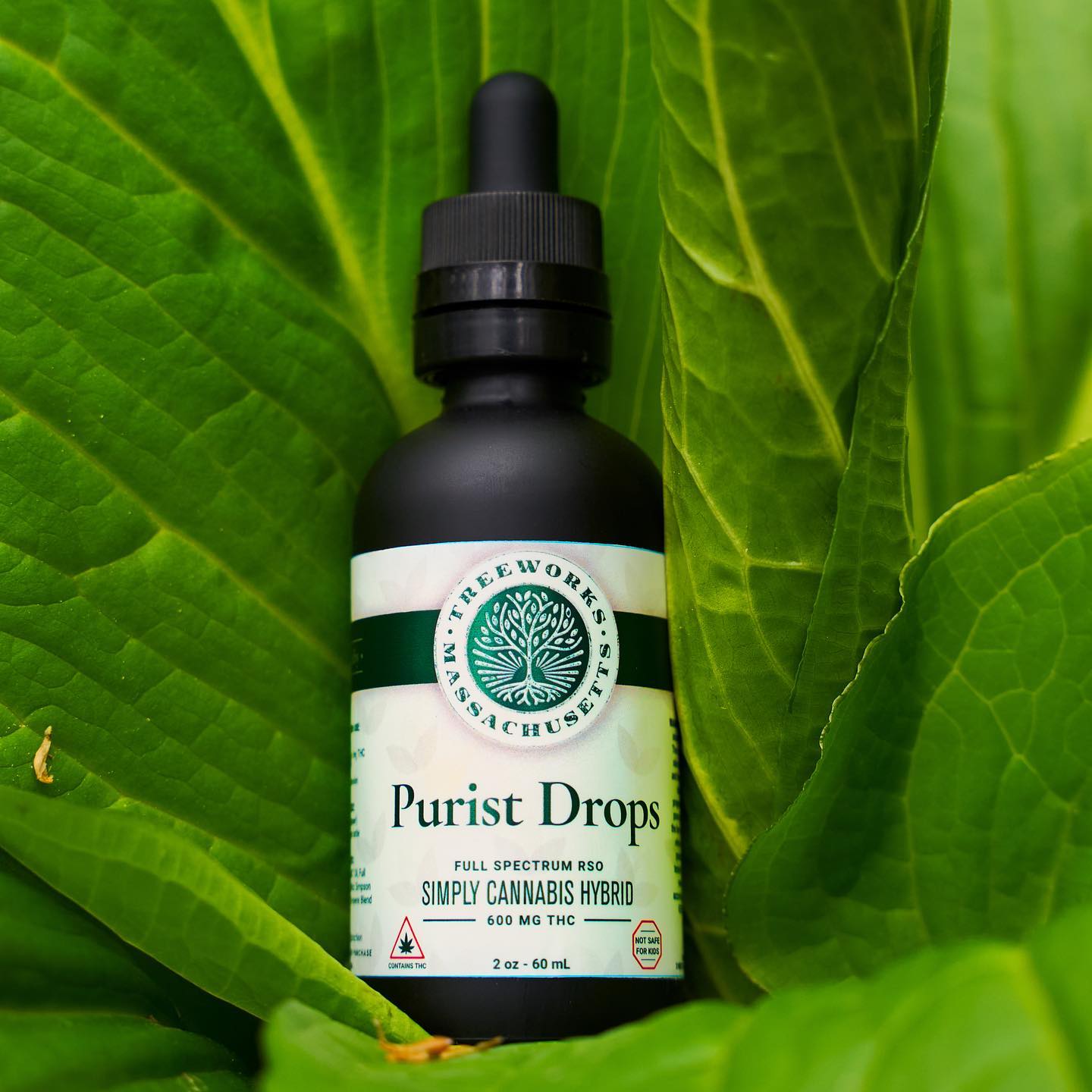 Drop in your mouth, add to any food/beverage, or use topically for pain relief or pleasure. @treeworksma Purist Drops are a natural cannabis infusion with no flavors added.