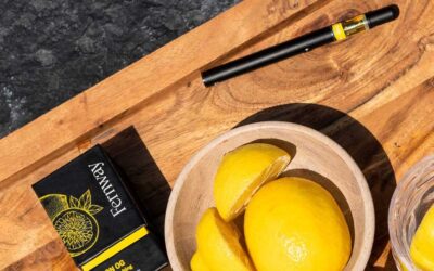 Boston Chill out with @fernway’s new Lemon OG – deliciously fresh and tart, with a clean and zesty exhale. Pick yours up today! #SeedBoston #Seedyourhead #cartridge #NotForSale #lemon