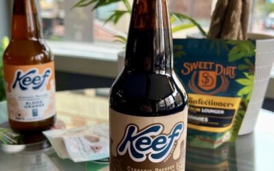 Portland, ME This flavor is an all time favorite that mixes very well with ice cream to create the ultimate root beer float. #Portlandblog #seedyourhead #drinks #rootbeer