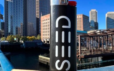 “A #puff a day keeps the debauched attitude away.” Don’t you agree? #seaport #skyline #boston #highbuildings #seedyourhead #seedblog #notforsale