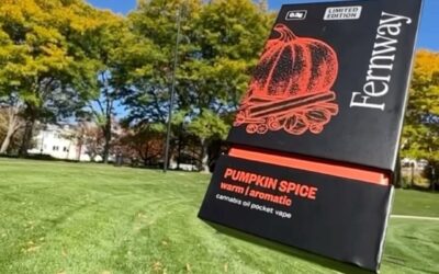 Pumpkin Spice an enjoyable pocket vape for the casual and on-the-go cannabis consumer. #Notforsale #seedyourhead #bostonblog #pumpkin #fallishere #vapelife #boston #dispensary #fernway #seeddispensary