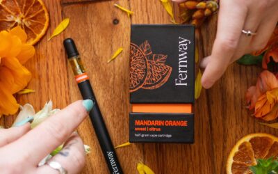 ️SPECIAL PRICING ️ We know how much you love the holidays, so we’ve decided to give you a little treat -Boston, MA *While Supply Last @fernway #Notforsale #bostonblog #Fernway #vapes #thanksgiving #Blackfriday #greenwednesday #holidayseason #boston