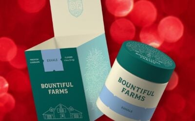 Check for something SPECIAL just for YOU on our website! 🤗 12 Days of Vendors ft @bountifulfarms #Nothingforsale #holidayshopping #seedyourhead #bostonblog #giftsforfriends