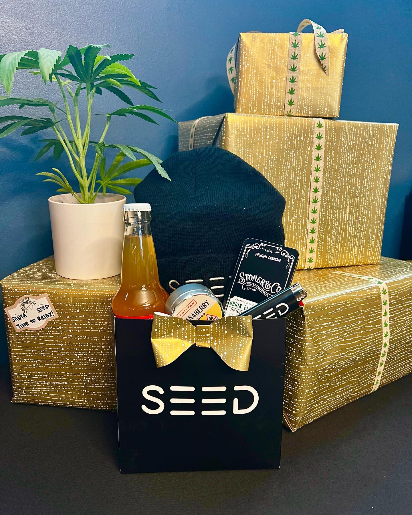 Hey Portland- Give the gift of cannabis with this Winter Bundle!
•10mg Cinnamon Cider
•50mg Bananaberry Dandie
•5pk of Papaya Pre-rolls
-Snuggly Seed Beanie
-Seed Lighter