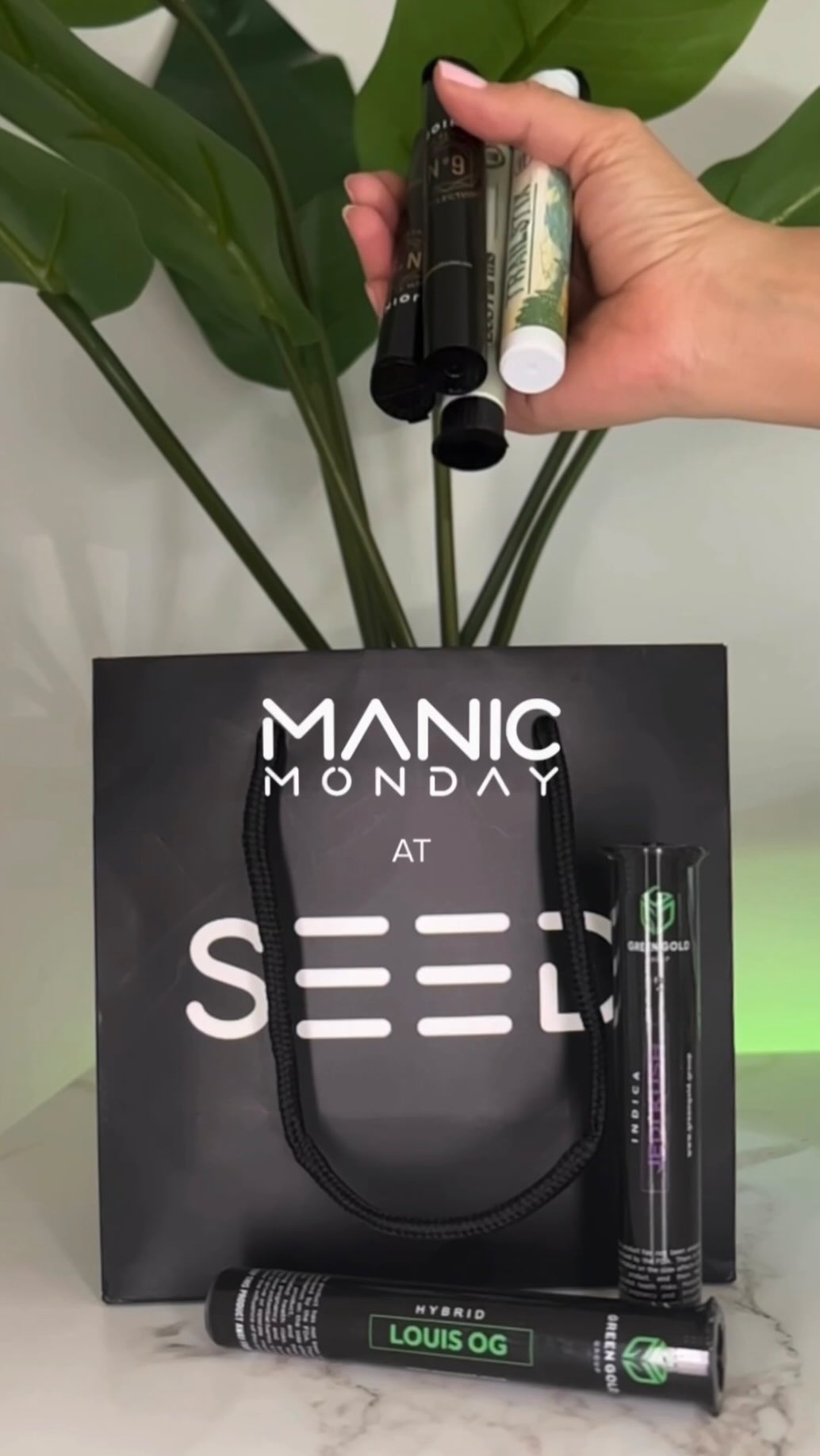 Manic Monday has arrived! Let's start the week with some wild fun and unexpected delights. Visit our website for more excitement