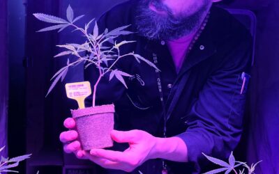 Ready to take your home garden to the next level?  Join us today Saturday, March 4th and learn how to grow your very own cannabis clone like a pro!  #seedyourhead #seedblog #notforsale #plants #garden #indica #sativa