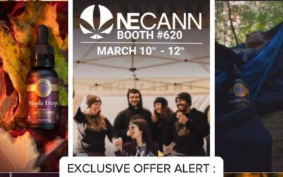 This weekend, make sure to swing by @necannacon and check out @treeworksma ! 🌳 Our #seed customers are in for a treat with something extra special in store.  Don’t miss out on this green oasis! #seedyourhead #seedboston #treeworks #giftforyou #boston #cannabis