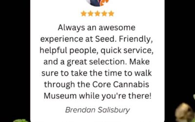 We thrive on your feedback and cherish every comment! Share your thoughts with us and let’s keep the conversation going. ️ #WeLoveToHearFromYou #seedyourhead #seedboston #seedblog #seedportland #bostonma #portlandmaine #reviews #testimonials