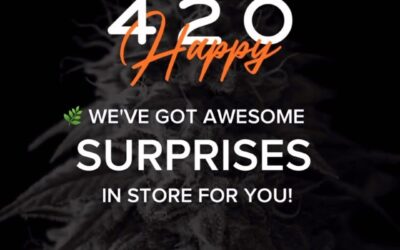 Happy #420!  We’ve got some awesome surprises  in store for you, but they won’t last long. 🏻‍♀️🏾 Check out our website for all the details! Link in bio.  #SEEDyourhead #seedblog #bestdispensaryinboston #boston #portlandmaine #highlife #stoner #420community #hightimes #420friendly