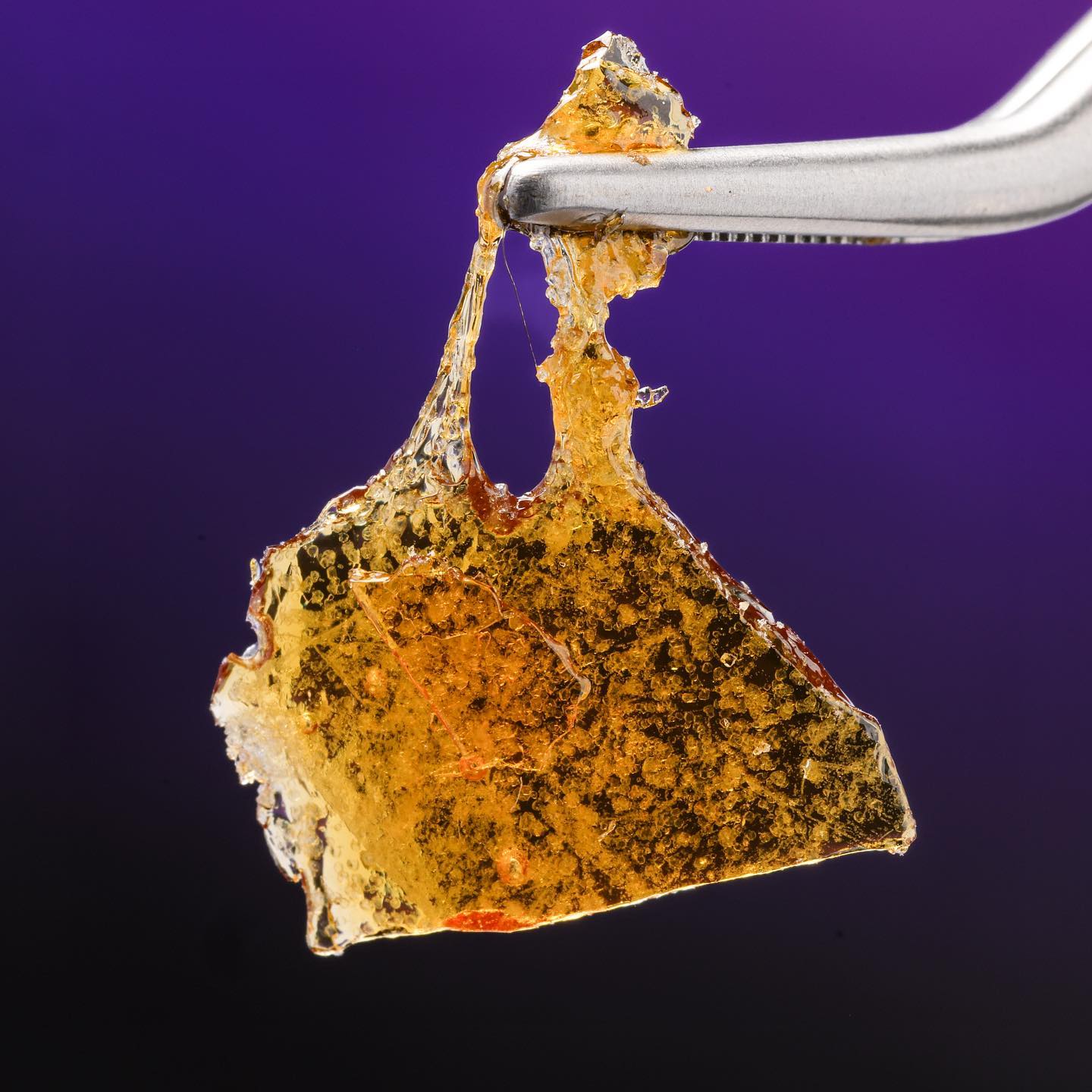 @hazeconcentrates, founded in Arizona, specializes in crafting top-tier live concentrates that boast exceptional quality at affordable prices. Their extraction method has been constantly refined to ensure customers experience the best possible product.