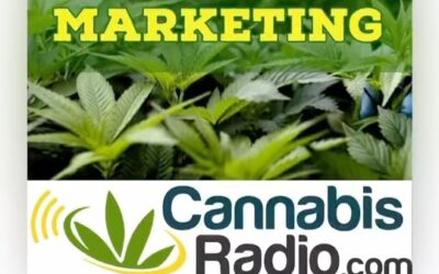 Thanks to @cannaradio for having our executive director @aprilarrasate on the Grassroots Marketing podcast to discuss our museum and its mission. Go listen to the full episode wherever you get your podcasts! #cannabis #cannabisjustice #justice #cannabislegalization #marijuana #marijuanalegalization #legalization #drugwar #boston #bostonma #portland #portlandme #museum #jamaicaplain #jamaicaplainma #criminaljustice #criminaljusticereform #tuesday #tuesdaymotivation #podcast