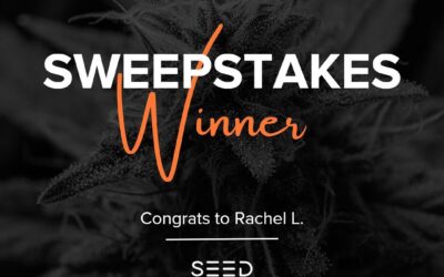 We have a WINNER! 🛍️ Congratulations to Rachel L.  You are the lucky winner of our amazing goodie bag! 🛍️ We will be contacting you via email shortly to arrange the pick up of your prize.  Thank you to everyone who participated in our contest!  Stay tuned for more exciting giveaways and prizes in the future.  #vendorspotlight #seedyourhead #giveaway #sweepstakes #bostonma