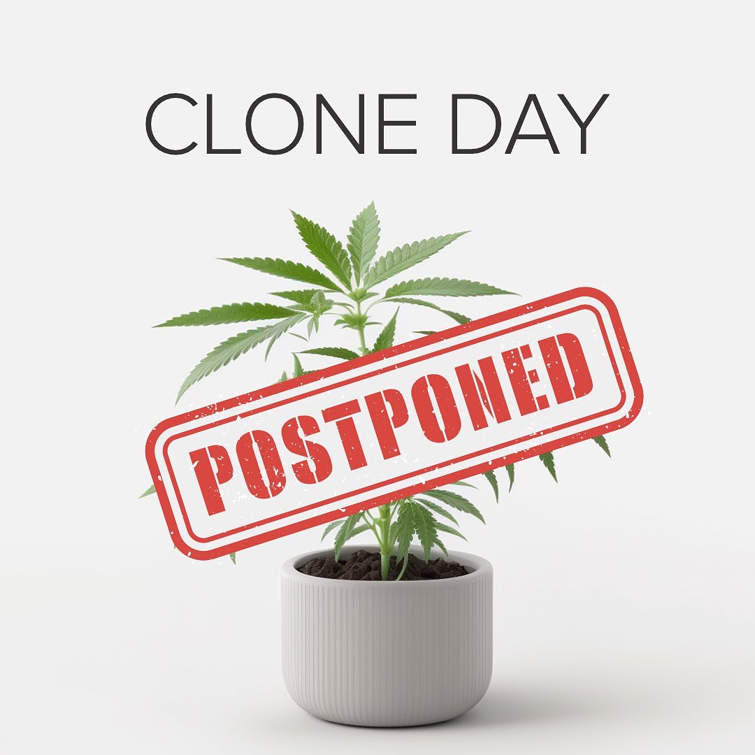 Sorry, folks!  Clone Day has been postponed, but fear not! We’re working hard to bring you a new date soon. Stay tuned for updates!