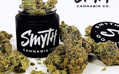 @smythcannabisco Flower takes pride in their top-notch curing and hand trimming techniques to ensure exceptional quality. With dozens of potent strains grown efficiently, they’re joining in the celebration during the #PrideBlockParty. Swing by and say hello! #seedyourhead #seedboston #pridemonth #pride365