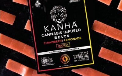 Discover the incredible science behind @kanhagummies  Did you know that they harness the power of nanomolecular technology to create cannabinoid particles smaller than a wavelength of light? This results in a faster onset and higher absorption rate. 🔬 Make sure to stop by their booth and say hello to learn more!  #seedyourhead #seedboston #prideblockparty #KanhaScience #CannabinoidTechnology #InnovativeAbsorption