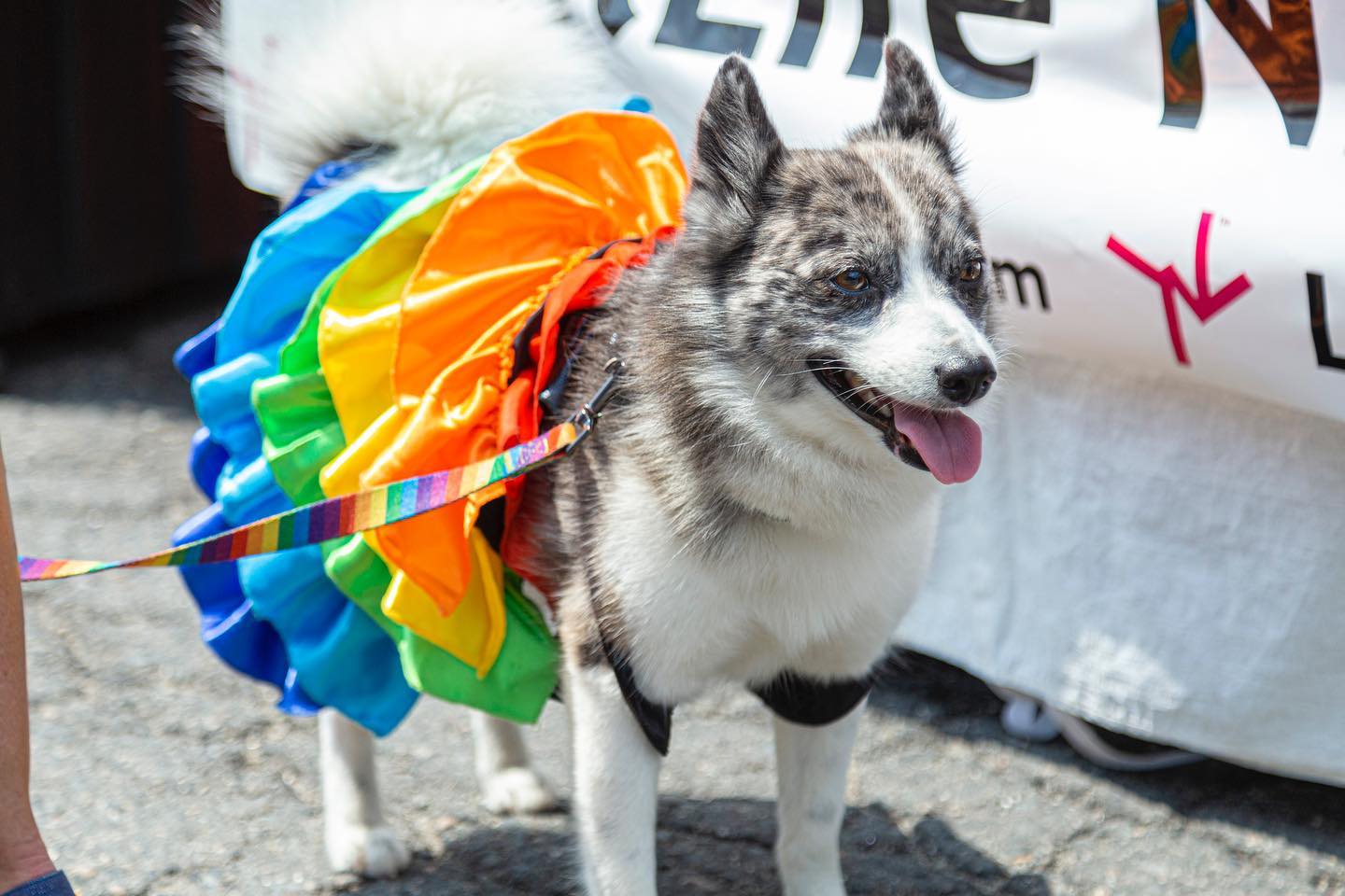 Dancing, laughing, and celebrating with the most incredible souls at JP’s #Prideblockparty!📸: @imagixstudio