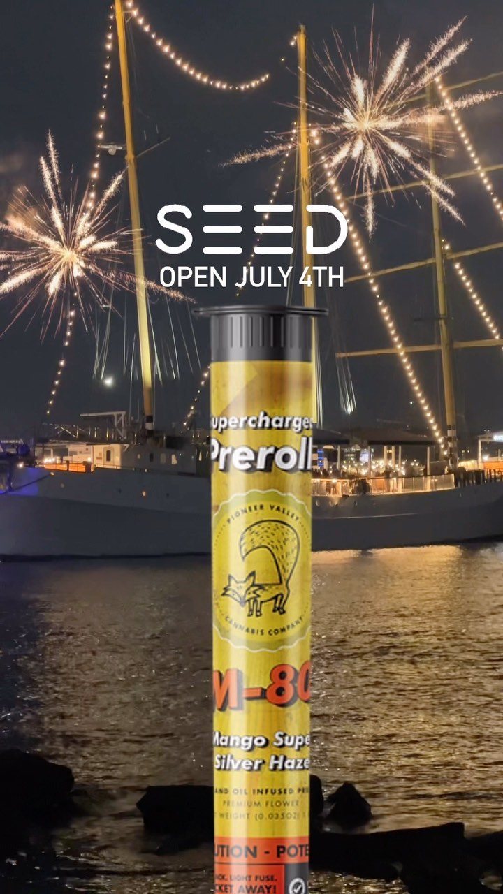 Get ready for flavor  this 4th of July with our M-80 infused prerolls from @pioneervalleycannabisco 🧨Elevate your smoking experience with our handpicked taste sensations. Prepare to be amazed!