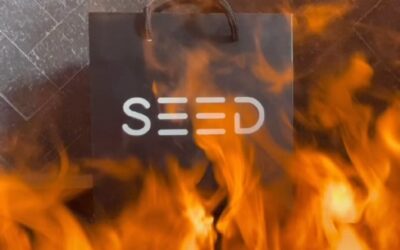 Warning: Our website’s on  with hot surprises!  Check it out now! #seedblog #seedyourhead #boston #portlandmaine #bestdispensaryinboston