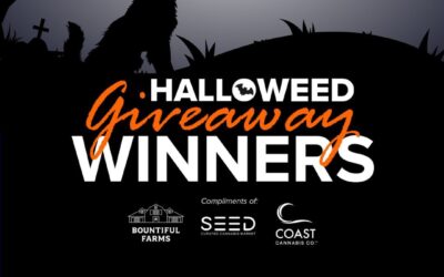 Ta-da!  Meet our fabulous winners! Thanks to all who joined the fun, and congrats to these lucky stars! Winners, please send us a DM.  #seedyourhead #halloweencostume #boston #halloween #giveaway