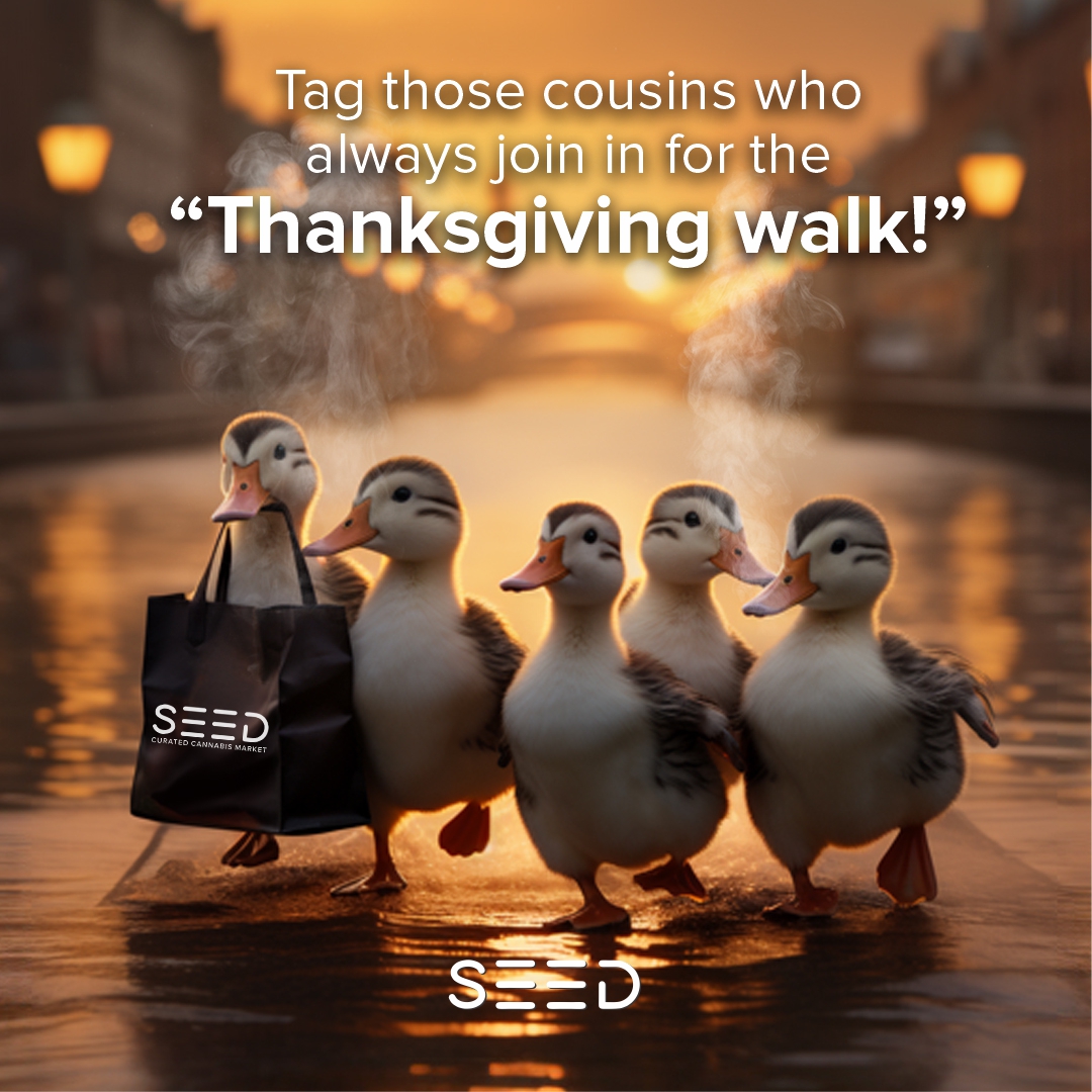 Happy Thanksgiving!
Grateful for each one of you.Tag those who always join in for the Thanksgiving 'walk'! ‍♂️‍♀️🦃#greatfulheart️