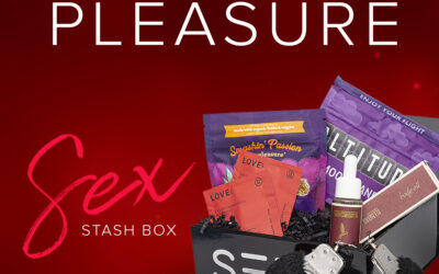 Discover our ‘Sex Stash Box’—the ultimate gift for adding sizzle to the bedroom! 🫦 Let our in-store elves help you find the perfect present for that special someone. Give the gift of pleasure this season! #seedyourhead #holidaygifts #holidayseason #sexstashbox #seedboston
