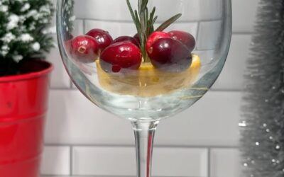 Diving into the snow globe cocktail trend from @splashofgoodness with our signature infused twist! ️ All it takes is 1-2 lemon slices 🍋, fragrant rosemary, a handful of cranberries, and a freeze for 1-2 hours. Top it off with your fave infused drink for a hangover-free celebration!  #Infusedmocktails #SnowGlobeTrend #seedyourhead #seedboston #boston #jamaicaplain