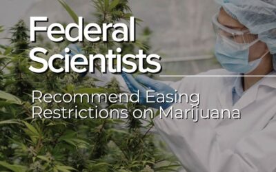 Federal Scientists Recommend Easing Restrictions on Marijuana In newly disclosed documents, federal researchers find that cannabis may have medical uses and is less likely to cause harm than drugs like heroin… read more at @newyorkermag #seedyourhead #coremuseum #boston #news