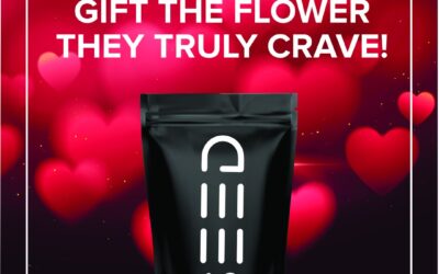 This Valentine’s, Gift the Flower They Truly Crave!  #premiumflower #seedyourhead #seedboston