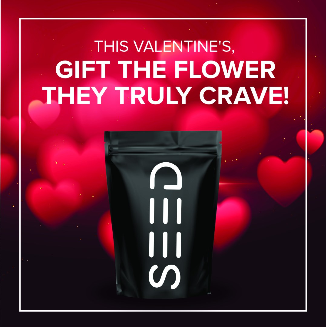 This Valentine's, Gift the Flower They Truly Crave!