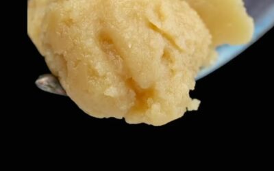 Let’s chat about the perfect valentines gift idea: live rosin! It’s pure bliss in a jar, perfect for elevating your special day! Have you tried live rosin?🤔 #seedyourhead #seedboston #liverosin #concentrates