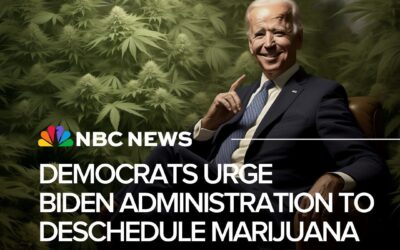 Will Biden’s administration finally decriminalize marijuana?