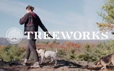The perfect blend of medicinal cannabinoids specifically catered toward your four-legged friends. Utilizing simple pet-friendly ingredients combined with CBN, CBD, and non-psychoactive THC-A, this feel good product is a must have for all animal lovers. Anything from discomfort, anxiety, sleeplessness, hyperactivity, pet depression or aging, Treeworks newest tincture; Pet Drops has your furry little friends covered.