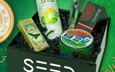 The SEED Stash Box: The Perfect Gift for the Stoner in Your Life! #seedyourhead