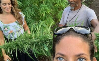 Our team is working globally to bring generational growers into the legal market. #carribean #svg #amnesty #womenincannabis #seedyourhead @seedyourhead