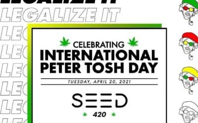 Did you know that 4/20 is also International Peter Tosh Day? Seed is celebrating the legendary musician and his contributions to cannabis on 4/19 and 4/20. We will be streaming performances from Peter Tosh and other reggae artists on our projection wall to commemorate the day. @petertosh @ms__tosh #internationalpetertoshday #420 #seed #seedyourhead #bostondispensary