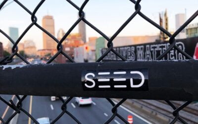 “Love that dirty water….Boston you’re my home!”  #bostonsbestdispensary #seed #seedyourhead #bostondispensary #bostonweed #bostoncannabis #bostonmarijuana