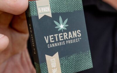 Pre-rolls that help support the Veterans organization, @vetscp, are now available. Click the link in our bio to learn more. #veteranscannabisproject #cannabisforvets #cannabisforptsd #seed #seedyourhead #bostondispensary #bostonweed #bostoncannabis #bostonmarijuana #bostonsbestdispensary