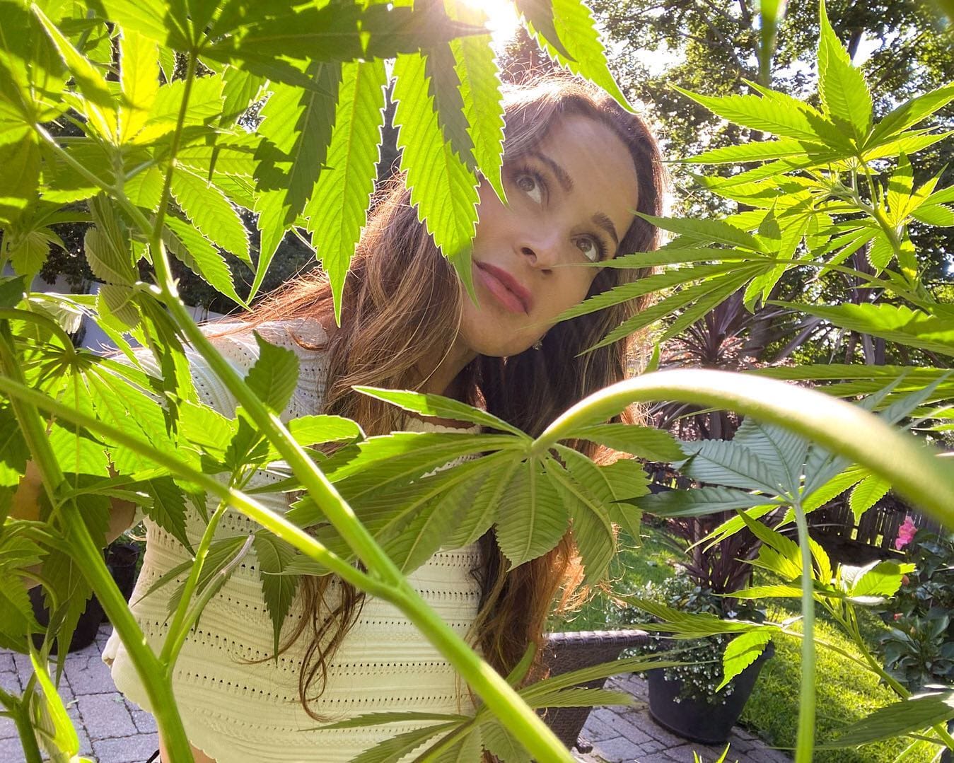 Our CEO grows cannabis for the love of the plant.  Her roots run deep.