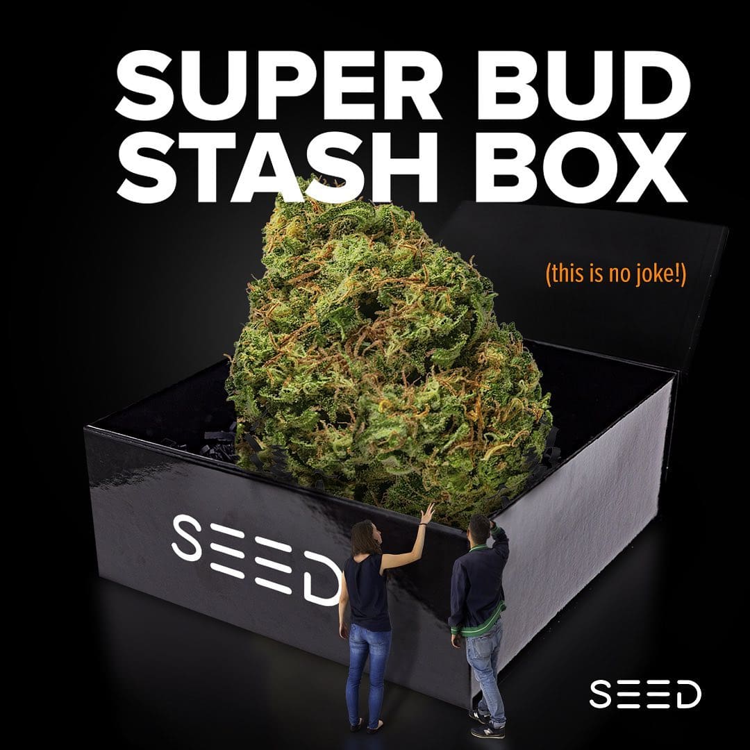 This is not a joke! Our Super Bud Stash boxes come with 8 Grams of Flower from @baileysbuds_#NotForSale  #Seedyourhead  #bostonsbestdispensary  #seed  #boston  #jamaicaplain  #dispensary 