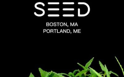 It’s a beautiful day! Don’t let it get away #seedyourhead #seedblog #portlandmaine #bostonmassachusetts #plants #beautiful #nature